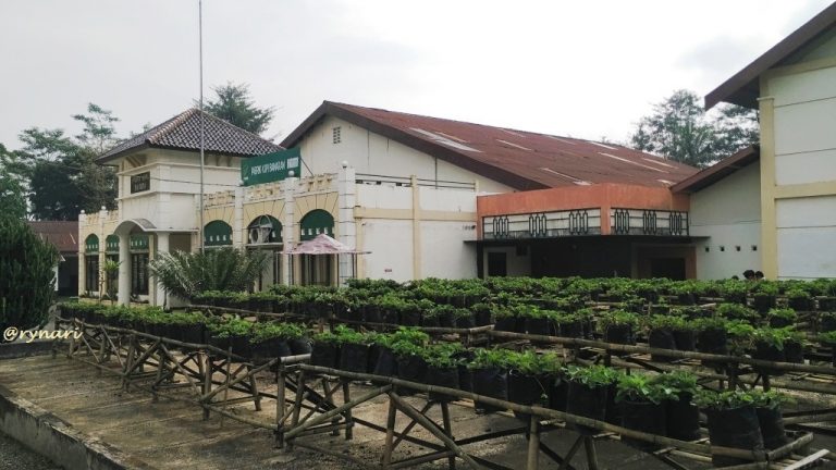 Pabrik Kopi Banaran dan Museum Kopi