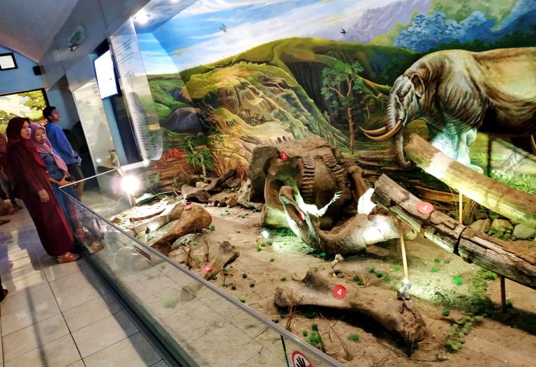 Museum Manusia Purba Klaster Ngebung